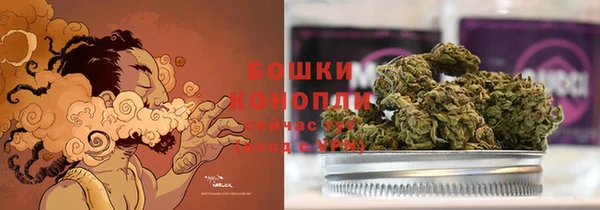 гидропоника Ельня