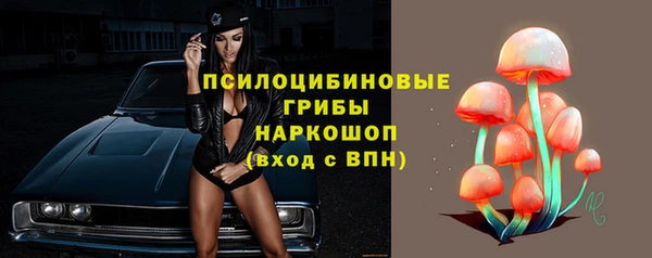 PSILOCYBIN Елабуга