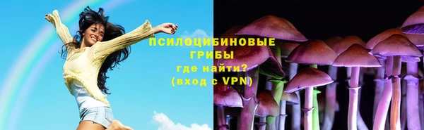 гидропоника Ельня