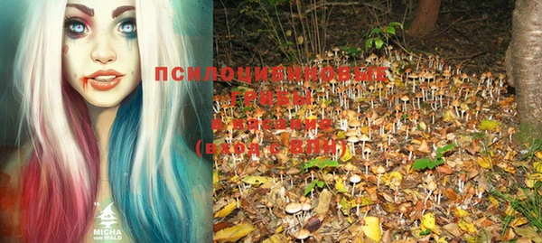 PSILOCYBIN Елабуга